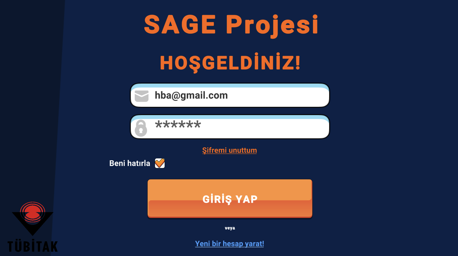 Project Screenshot 1