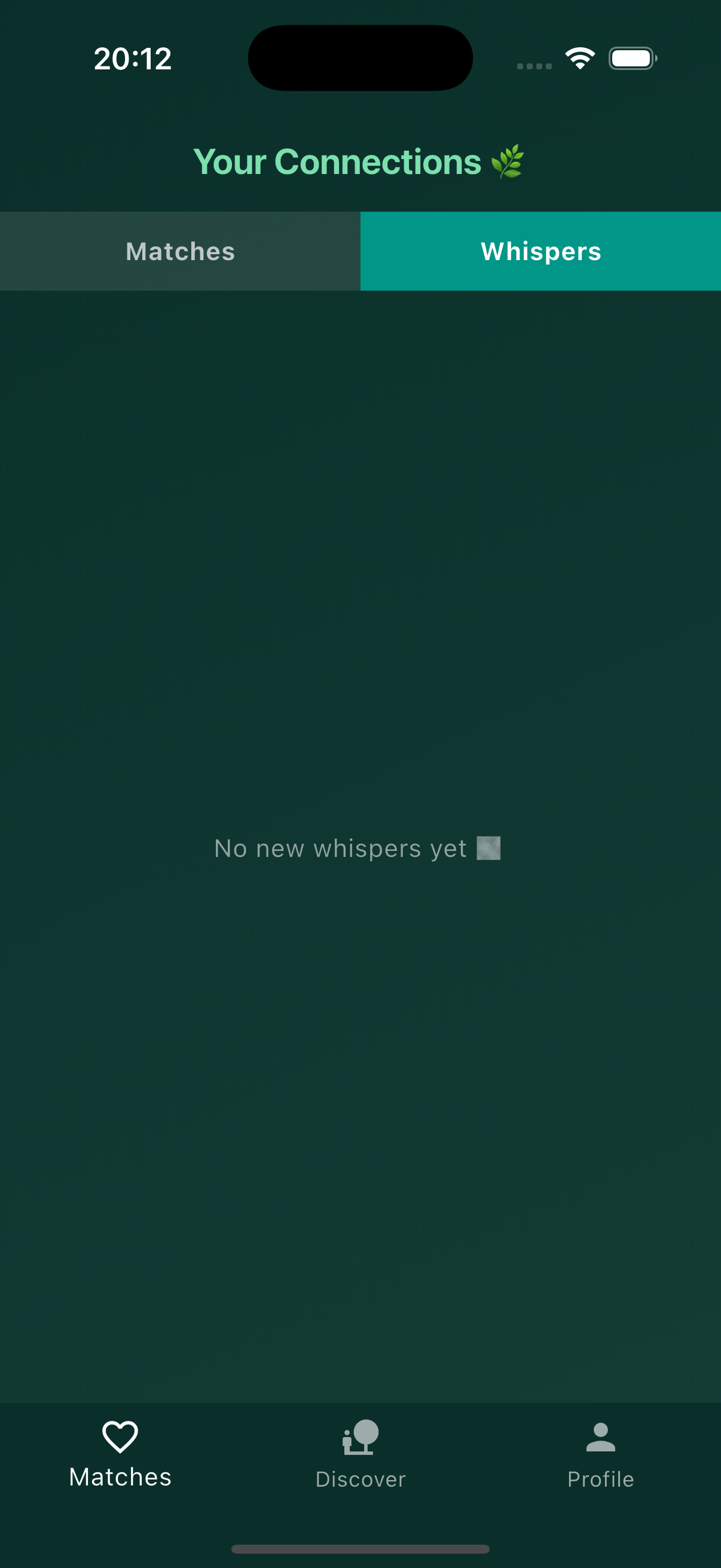 Project Screenshot 1