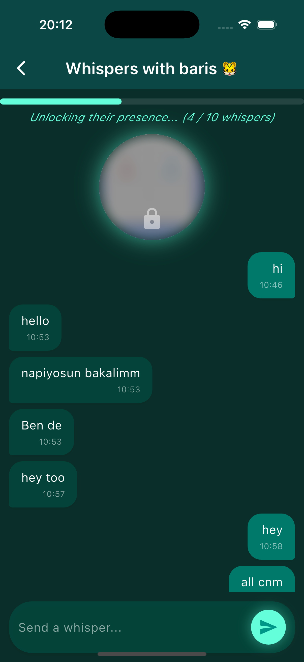 Project Screenshot 3