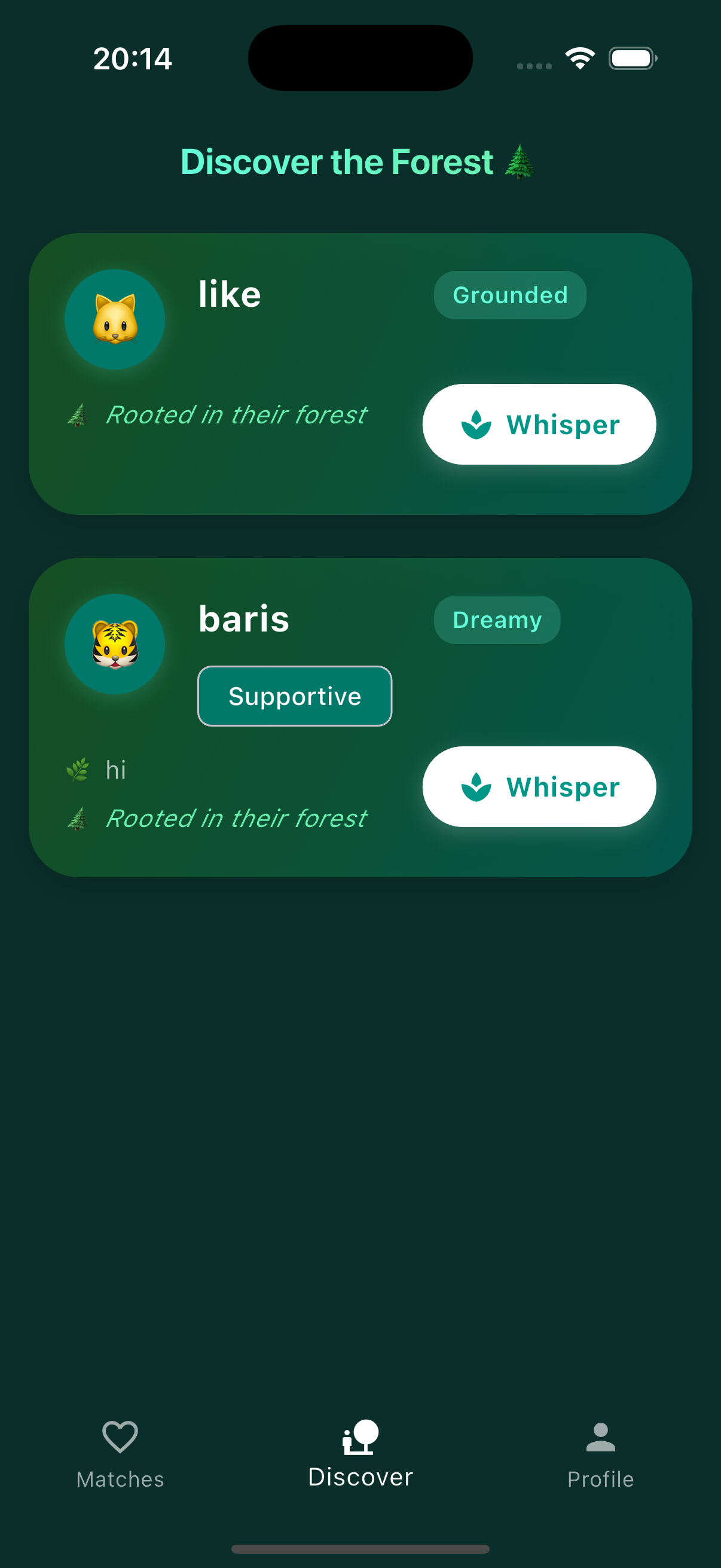 Project Screenshot 9